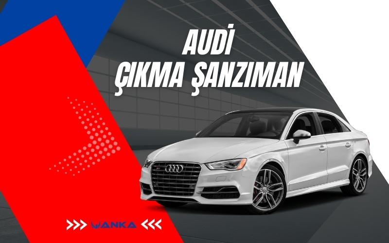 AUDİ ÇIKMA ŞANZIMAN